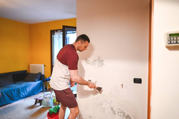 Best Insurance-Related Mold Remediation in Los Alamitos, CA