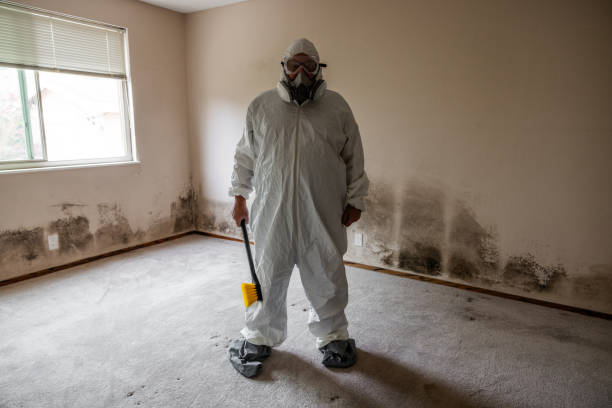 Best Mold Remediation for Specific Building Types in Los Alamitos, CA